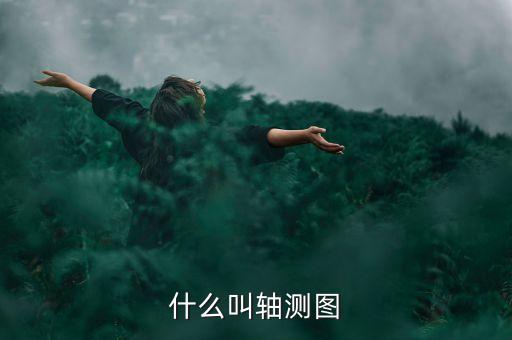 什么叫合力貸，什么叫格蘭肉