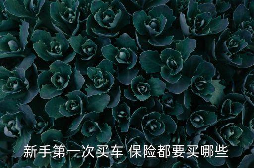 新手第一次買車 保險都要買哪些