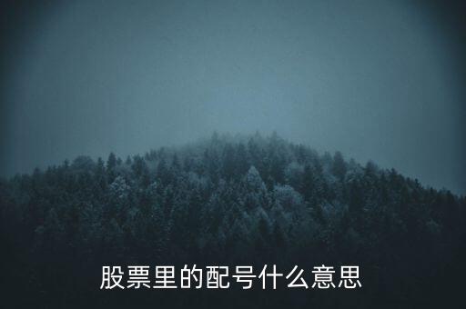 東方配號什么意思，股票里面的東方配號和南方配號是啥意思