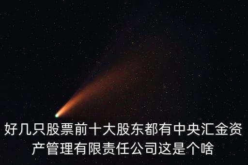 好幾只股票前十大股東都有中央?yún)R金資產(chǎn)管理有限責任公司這是個啥