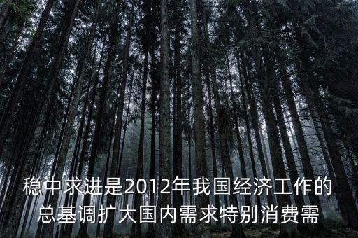 穩(wěn)中求進(jìn)是2012年我國經(jīng)濟(jì)工作的總基調(diào)擴(kuò)大國內(nèi)需求特別消費需
