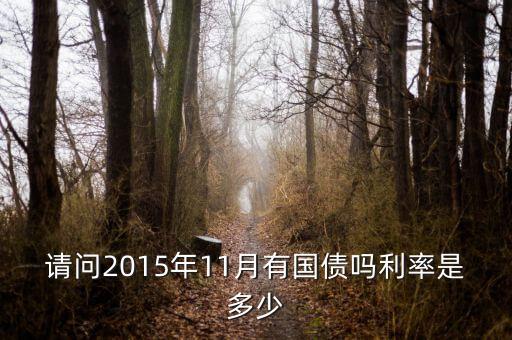 201511月發(fā)行什么國債，請(qǐng)問2015年11月有國債嗎利率是多少
