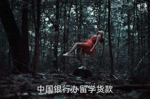 中國銀行辦留學(xué)貨款