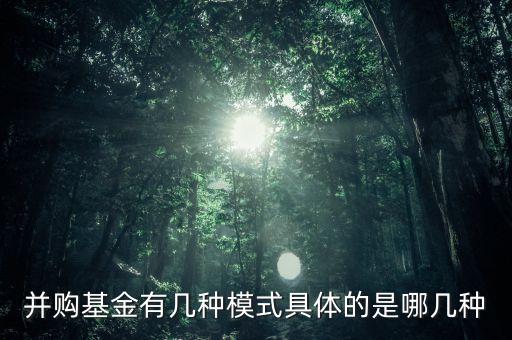 并購基金有幾種模式具體的是哪幾種