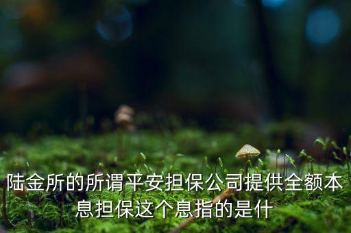 陸金所的所謂平安擔保公司提供全額本息擔保這個息指的是什