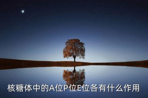 深天馬a有什么，哆啦a夢大型游戲有那些