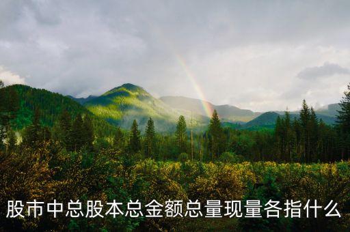 股市中總股本總金額總量現量各指什么