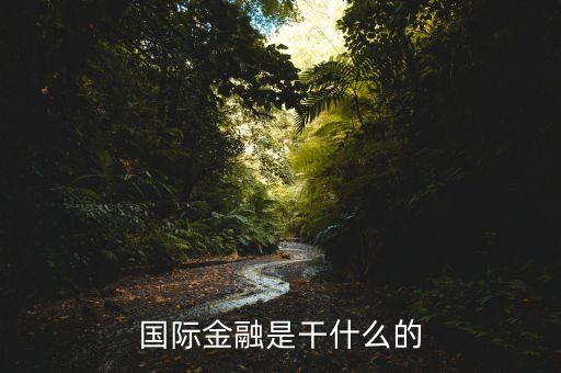 國(guó)際金融是干什么的