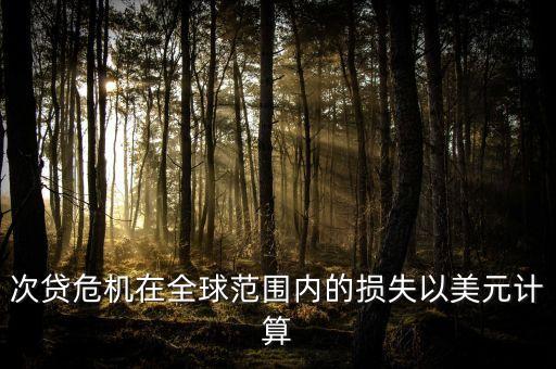 次貸危機在全球范圍內的損失以美元計算