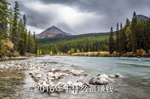 2016年做什么比較好賺，2016年什么生意賺錢又好做