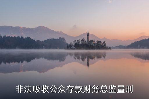 非法吸收公眾存款財務總監(jiān)量刑
