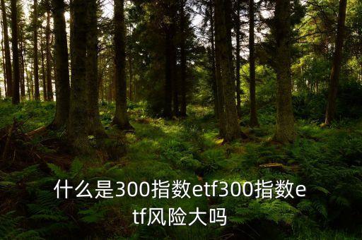 什么是300指數(shù)etf300指數(shù)etf風(fēng)險(xiǎn)大嗎