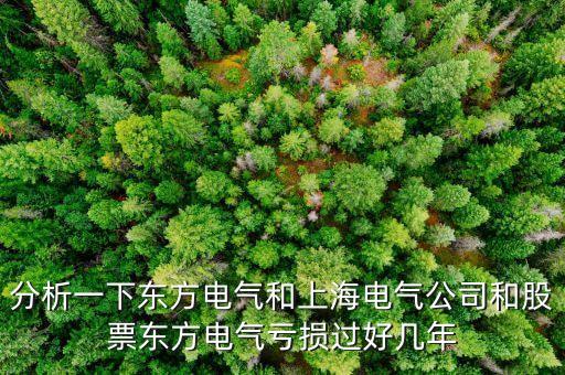 東方電氣為什么不漲，東方電氣這么好的公司為什么總是漲不上去漲不過別人呢