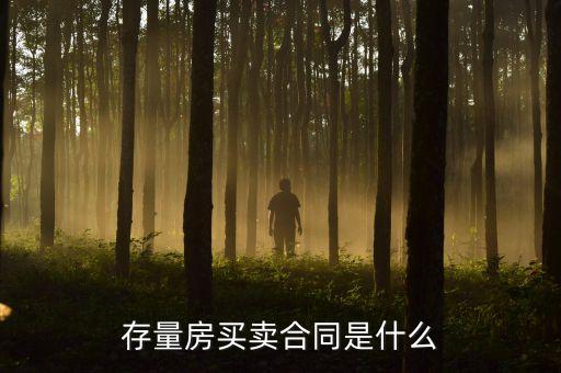 存量房買(mǎi)賣(mài)合同是什么