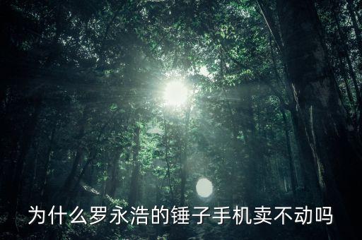 錘子手機(jī)為什么賣不好，為什么羅永浩的錘子手機(jī)賣不動嗎