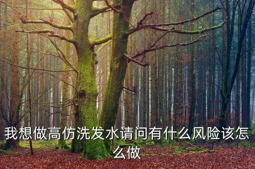 我想做高仿洗發(fā)水請問有什么風險該怎么做