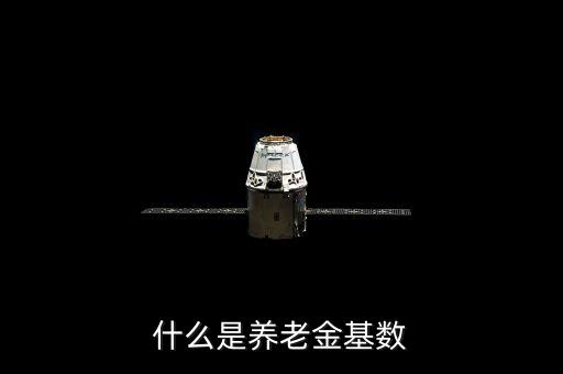 養(yǎng)老保險(xiǎn)基數(shù)是什么，養(yǎng)老保險(xiǎn)交費(fèi)基數(shù)是什么