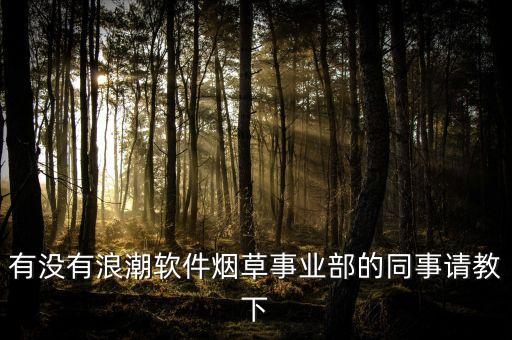 浪潮軟件有什么部門(mén)，浪潮軟件里輔助項(xiàng)目在哪里 急求
