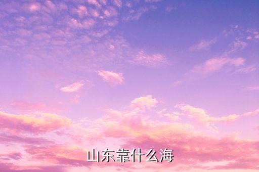 為什么山東海運(yùn)，山東 海運(yùn)