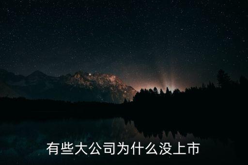 公司為什么不上市，為什么有些大公司選擇不上市