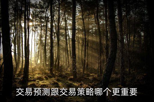 交易預(yù)測跟交易策略哪個更重要
