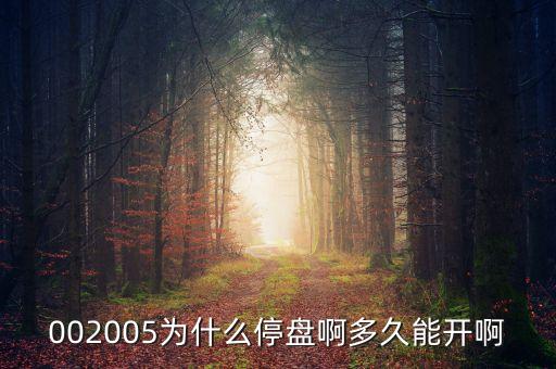 002005為什么停盤(pán)啊多久能開(kāi)啊