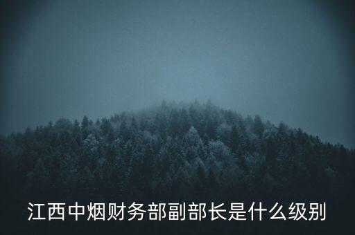 江西中煙財(cái)務(wù)部副部長是什么級(jí)別