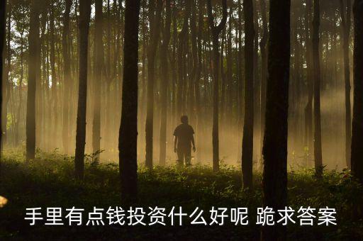 有點(diǎn)錢投資什么，有點(diǎn)小錢可以去投資什么呢
