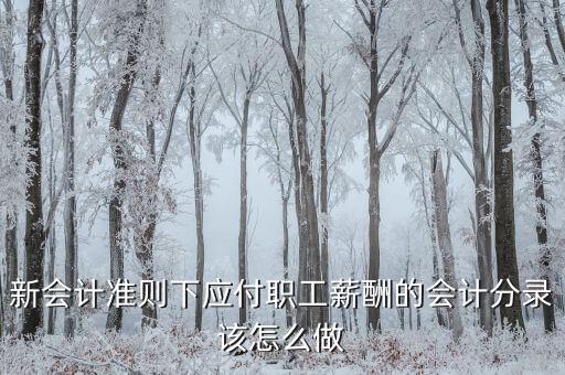 外派監(jiān)事會什么意思，新會計(jì)準(zhǔn)則下應(yīng)付職工薪酬的會計(jì)分錄該怎么做