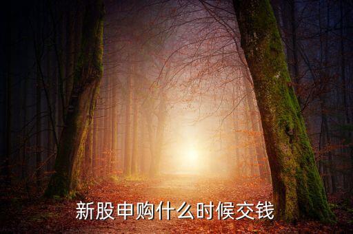 新股申購什么時候交款，新股中簽后什么時間繳款