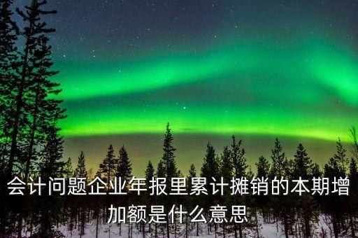會(huì)計(jì)問題企業(yè)年報(bào)里累計(jì)攤銷的本期增加額是什么意思