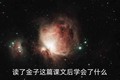 讀了金子這篇課文后學會了什么