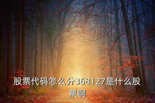 760377是什么股票，金盟華盛的股票啥時(shí)上市