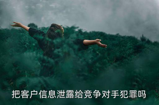 把客戶信息泄露給競爭對(duì)手犯罪嗎