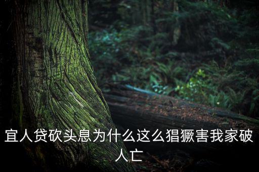 宜人貸為什么售罄，我的宜人貸為什么沒通過問題出在哪