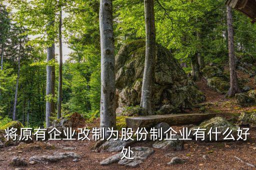 個體改股份有什么好處，將原有企業(yè)改制為股份制企業(yè)有什么好處