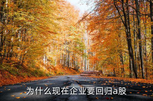 為什么有些企業(yè)愿意回歸a股市場，為什么企業(yè)要回歸A股