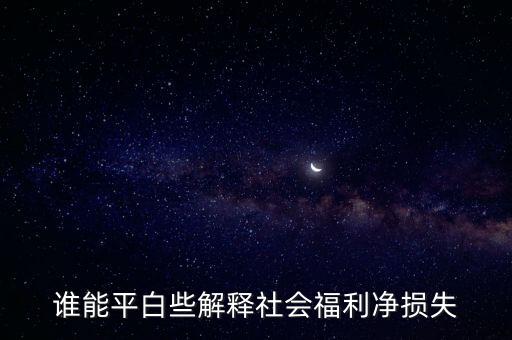 誰(shuí)能平白些解釋社會(huì)福利凈損失