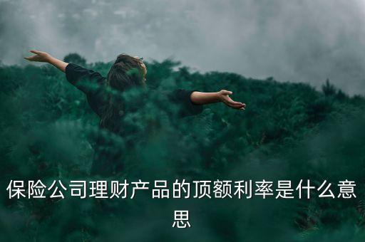 保險(xiǎn)公司理財(cái)產(chǎn)品的頂額利率是什么意思