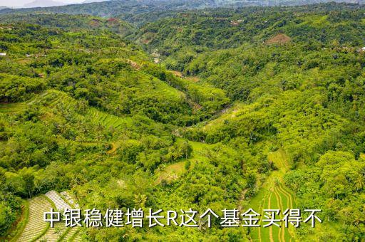 rqdii是什么意思，中銀穩(wěn)健增長(zhǎng)R這個(gè)基金買得不