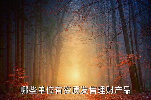 什么公司可以發(fā)行理財產(chǎn)品，請教有權(quán)發(fā)行理財產(chǎn)品的主體有哪些種類