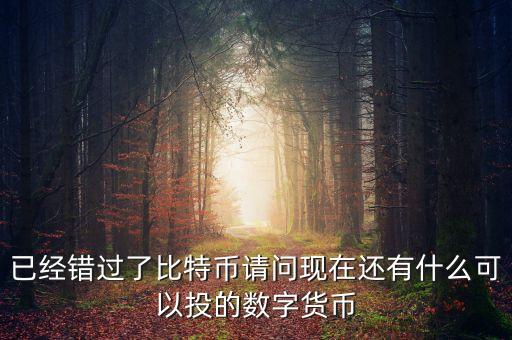 已經(jīng)錯過了比特幣請問現(xiàn)在還有什么可以投的數(shù)字貨幣