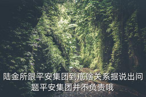 陸金所跟平安銀行什么關(guān)系，陸金所平安到底啥關(guān)系