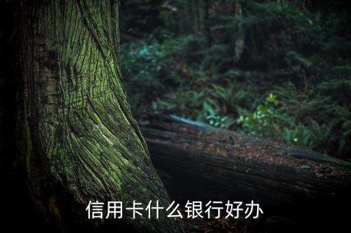 什么銀行辦信用卡最容易，哪個(gè)銀行的信用卡好辦理