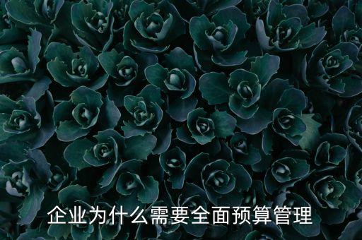 為什么進(jìn)行預(yù)算管理制度改革，銀行預(yù)算管理產(chǎn)生原因與背景
