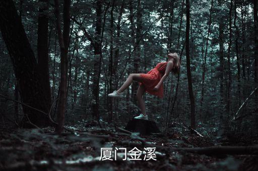 金溪福建城主要經(jīng)營什么，廈門金溪
