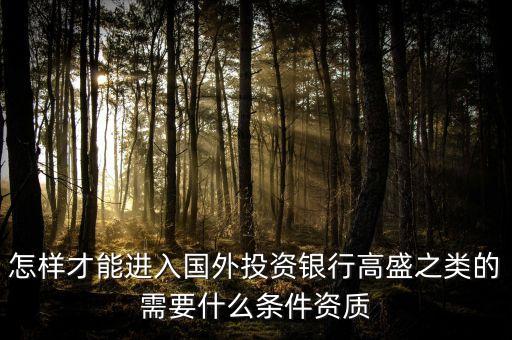 怎樣才能進入國外投資銀行高盛之類的需要什么條件資質(zhì)