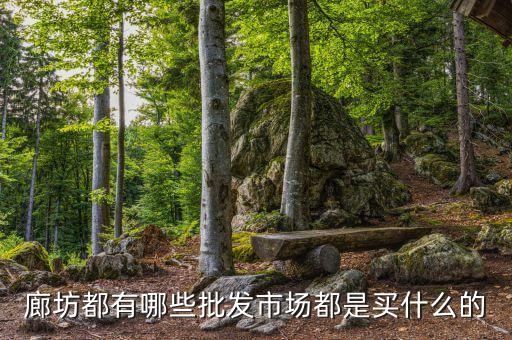 冀魯大市場主要賣什么，山東翼魯大市場