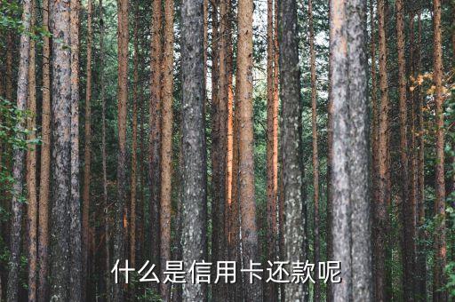 刷還信用卡是什么意思，什么是信用卡還款呢