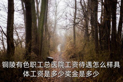 銅陵有色職工總醫(yī)院工資待遇怎么樣具體工資是多少獎金是多少